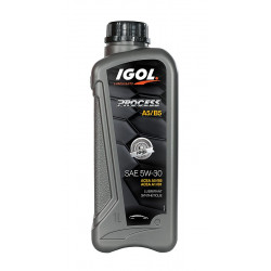 Igol PROCESS A5/B5 5W30 1 liter